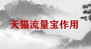天貓流量寶 天貓流量寶