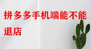 拼多多代運(yùn)營(yíng) 拼多多代運(yùn)營(yíng)